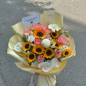 Hướng Dương Rực Rỡ