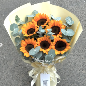 Little Sun – Hướng Dương Nhỏ Mang Năng Lượng Lớn