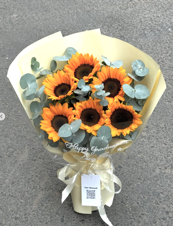 Little Sun – Hướng Dương Nhỏ Mang Năng Lượng Lớn